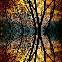 Creatively Approaching Abstract Photography