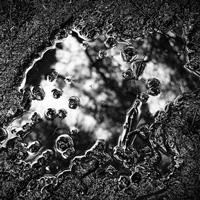100+ Creative Examples of Reflections in Photography