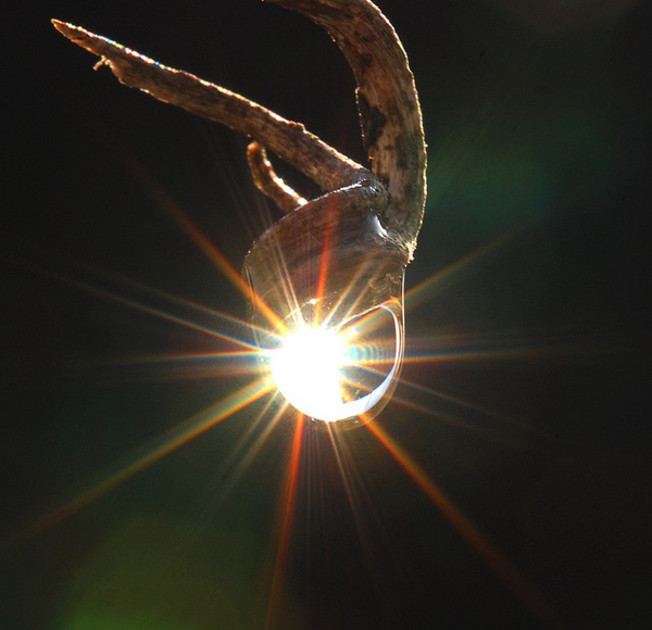 flickrphoto