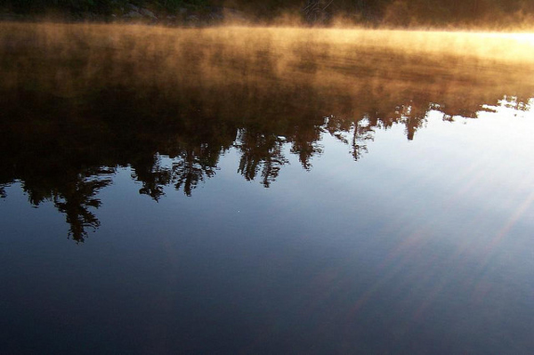 flickrphoto