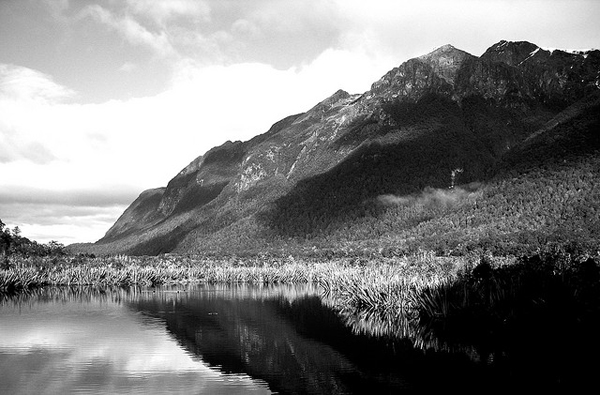flickrphoto