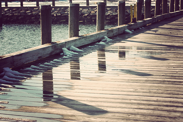 flickrphoto