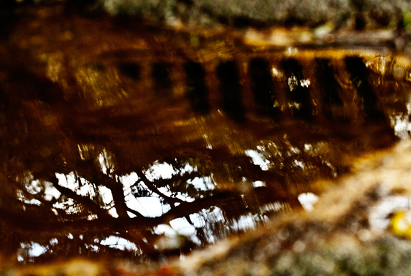 flickrphoto