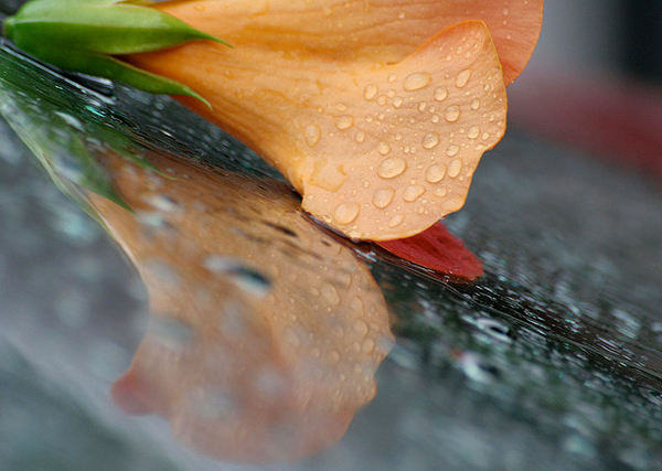flickrphoto