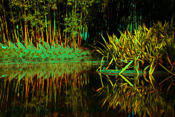 flickrphoto