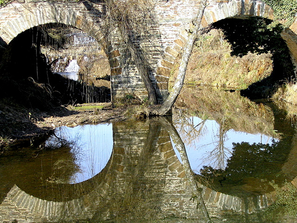 flickrphoto