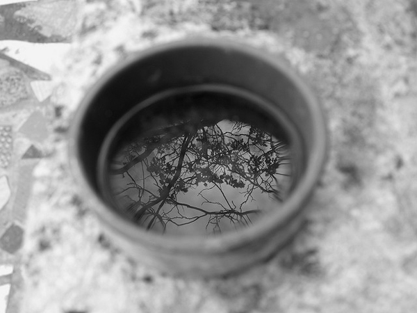 flickrphoto