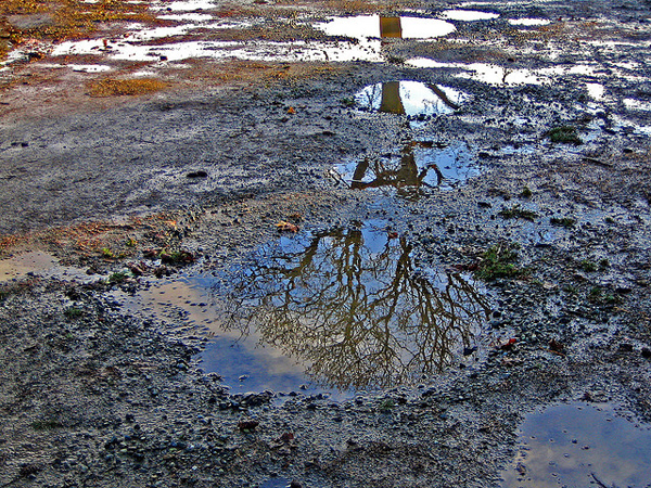 flickrphoto