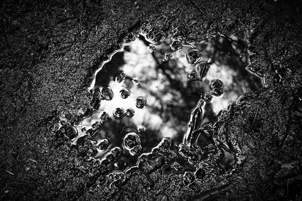 flickrphoto