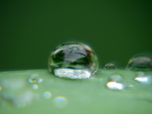 flickrphoto