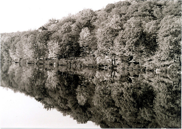 flickrphoto