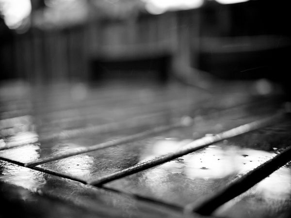 flickrphoto