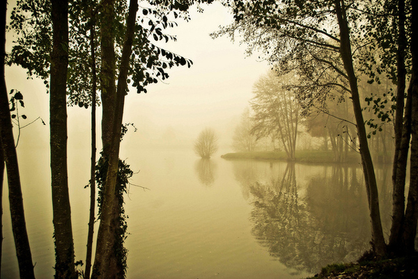 flickrphoto