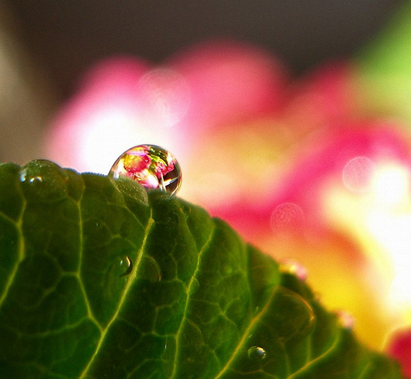 flickrphoto