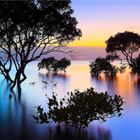 9 Tips for Making Lovely Landscapes