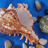 Quick Tip: Constructing Your Own Freestanding Reflector
