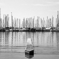 A Beginner’s Guide to Film Photography