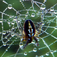 Photo Critique #95