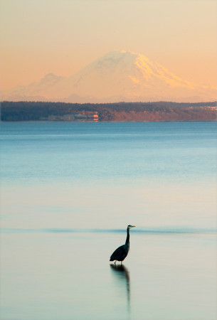 A Comprehensive Guide to Photography Washington State, USA