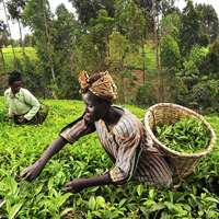 Photo Round-Up: The World’s Relationship with Food – Blog Action Day