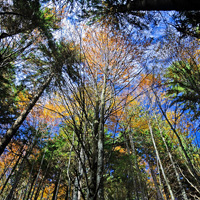 70+ Amazing Autumn Shots