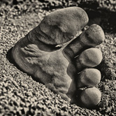 Photo Critique #113