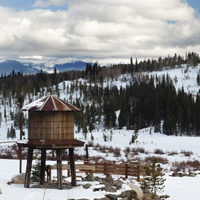 Photo Critique #114