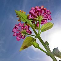5 Ways to Tame Your Compact Camera