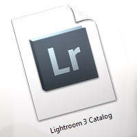 A Thorough Guide to Lightroom Catalog Management