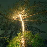 Photo Critique #125