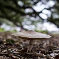Photo Critique #127