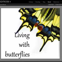 Books in Lightroom 4: Shortcuts and Pitfalls