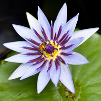 Photo Critique #134