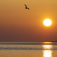 Photo Critique #136
