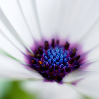 Best Way to Learn About Exposure: Exposure Modes and Metering