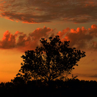 Photo Critique #138