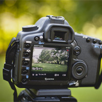 Quick Tip: Should I Buy a DSLR with Video Capabilities?