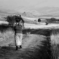 Photo Critique #140