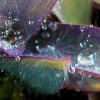 Photo Critique #141