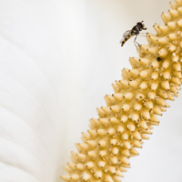 Photo Critique #168
