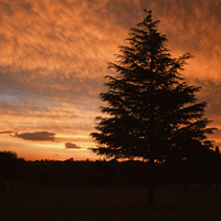 Photo Critique #171