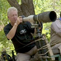 Steve Winter: On the Trail of the Tiger