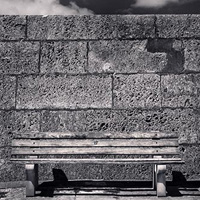 Embracing Harsh, Contrasty Light: Part 1 – Photo Premium