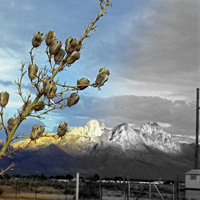 Phototuts+ Quiz: Post-Processing