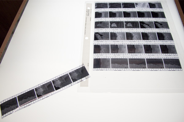 Cutting & Archiving