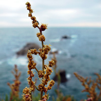 Photo Critique #151