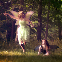 Photo Critique #152